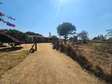 Farm & Agricultural Land