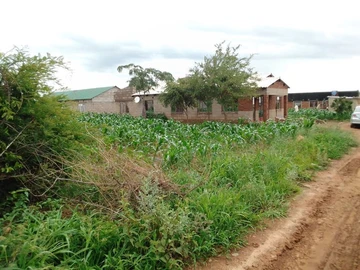 Stands & Residential Land