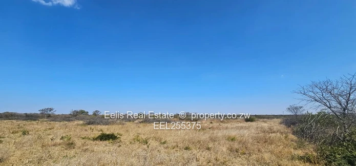 Plot for Sale 