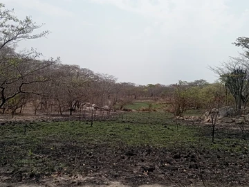 Farm & Agricultural Land