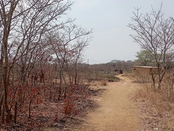 Farm & Agricultural Land