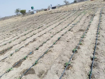 Farm & Agricultural Land