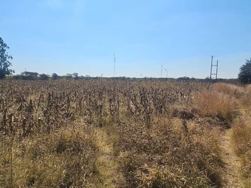 Farm & Agricultural Land