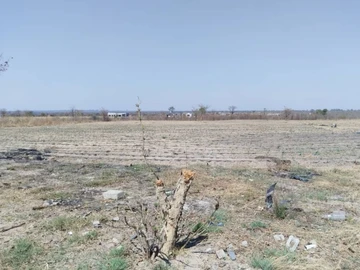 Farm & Agricultural Land