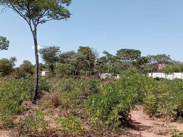 Stands & Residential Land