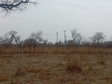 Farm & Agricultural Land