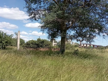 Commercial & Industrial Land