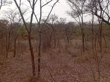 Farm & Agricultural Land